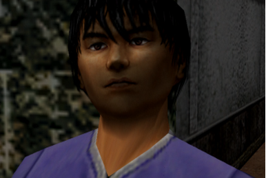 Shenmue II, Shenmue Wiki