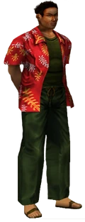 Shenmue Passport Profile Model.
