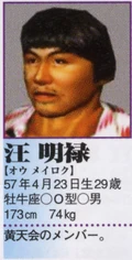 Minglu's profile in the Shenmue II Perfect Guidebook.