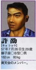 Shao's profile in the Shenmue II Perfect Guidebook.