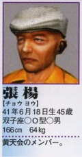 Yang's profile in the Shenmue II Perfect Guidebook.
