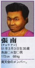 Nan's profile in the Shenmue II Perfect Guidebook.