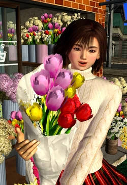 Nozomi Harasaki/Image Gallery | Shenmue Wiki | Fandom