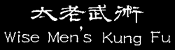 Wise-Men's-Kung-Fu loading screen