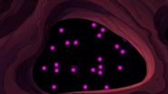 The pookas' eyes glow threateningly in the dark