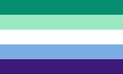 Gay flag.jpg