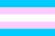 Transgender pride flag.gif