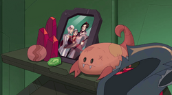 Scorpia family