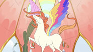 Swift Wind has never been to a birthday party before