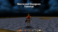 Sherwood Dungeon Tutorial.