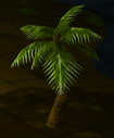 PalmTree sol