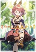 Light novel2