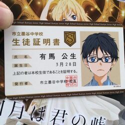 Episode 19: Goodbye, Hero, Shigatsu wa Kimi no Uso Wiki