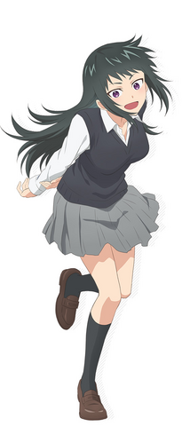 Anime: Kawaii dake ja Nai Shikimori-san 