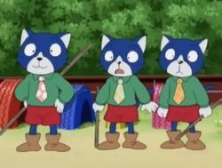 The Black Cat Brothers | Shimajiro Wiki | Fandom