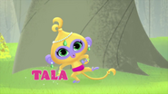 Shimmer and Shine Meet Tala