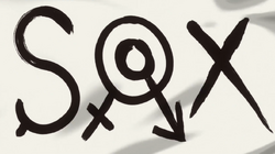 SOXflag