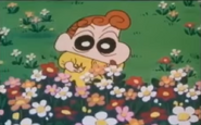 Himawari en el parque