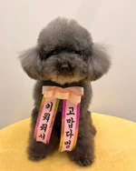 Garçons (133 KB) Garçons