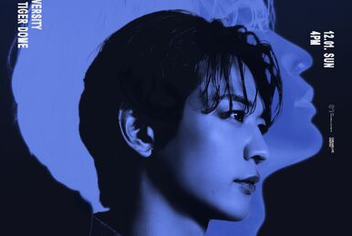 Amazon.co.jp: 2PM 1st Concert in SEOUL “DON'T STOP CAN'T