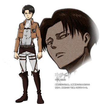 Featured image of post Levi Ackerman Altura