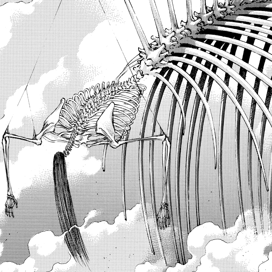 Cuanto Mide El Titan Fundador De Eren Titán Fundador | Shingeki no Kyojin Wiki | Fandom