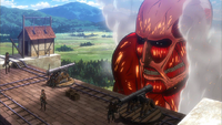 Colossal Titan reappears