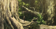 Bertholdt, Reiner, Ymir y Eren en el bosque de los árboles gigantes