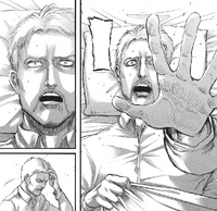 Reiner despierta