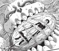 Kriegshammertitan | Attack on Titan Wiki | Fandom