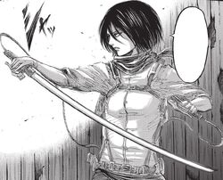 Mikasa Ackerman Image Gallery Attack On Titan Wiki Fandom