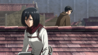 Mikasa warns Levi about Armin's disguise