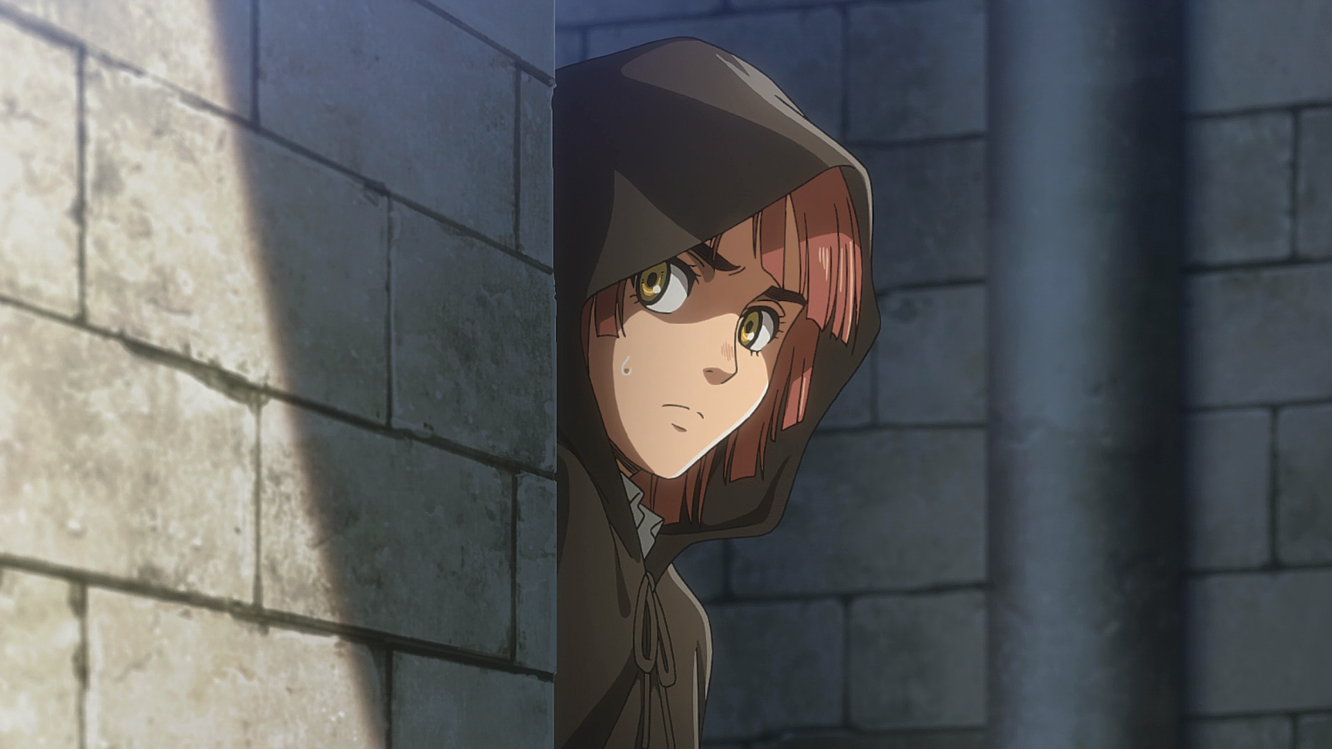 pic Nifa Aot nifa anime attack on titan wiki
