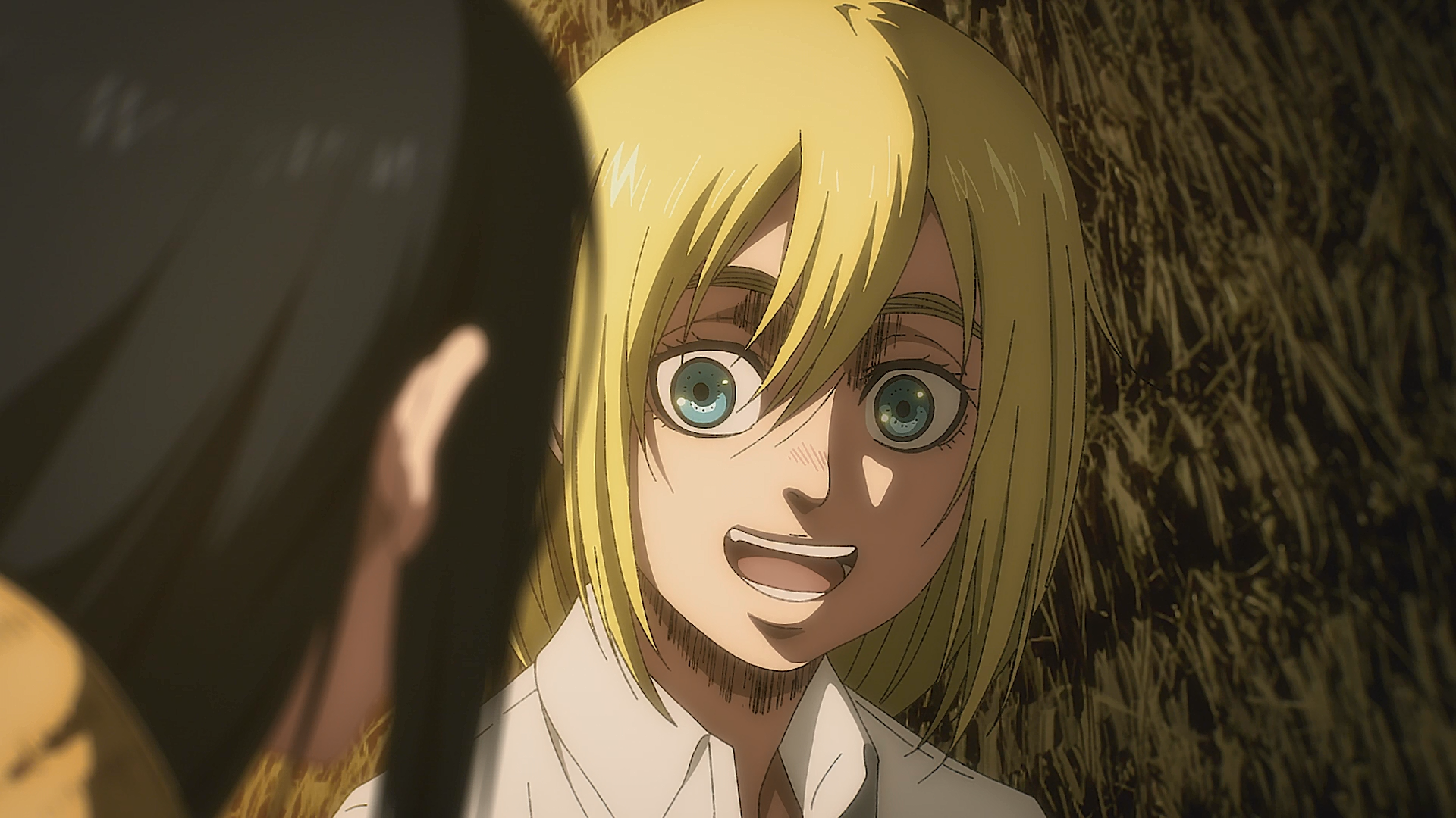 Ymir Fritz (Anime), Attack on Titan Wiki