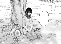 Mikasa visits Eren's grave