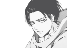 Levi-levi-rivaille-shingeki-no-kyojin-36992113-500-360