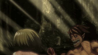 Titan Assaillant Wiki L Attaque Des Titans Fandom Attack of titans mikasa digital wallpaper, shingeki no kyojin. titan assaillant wiki l attaque des