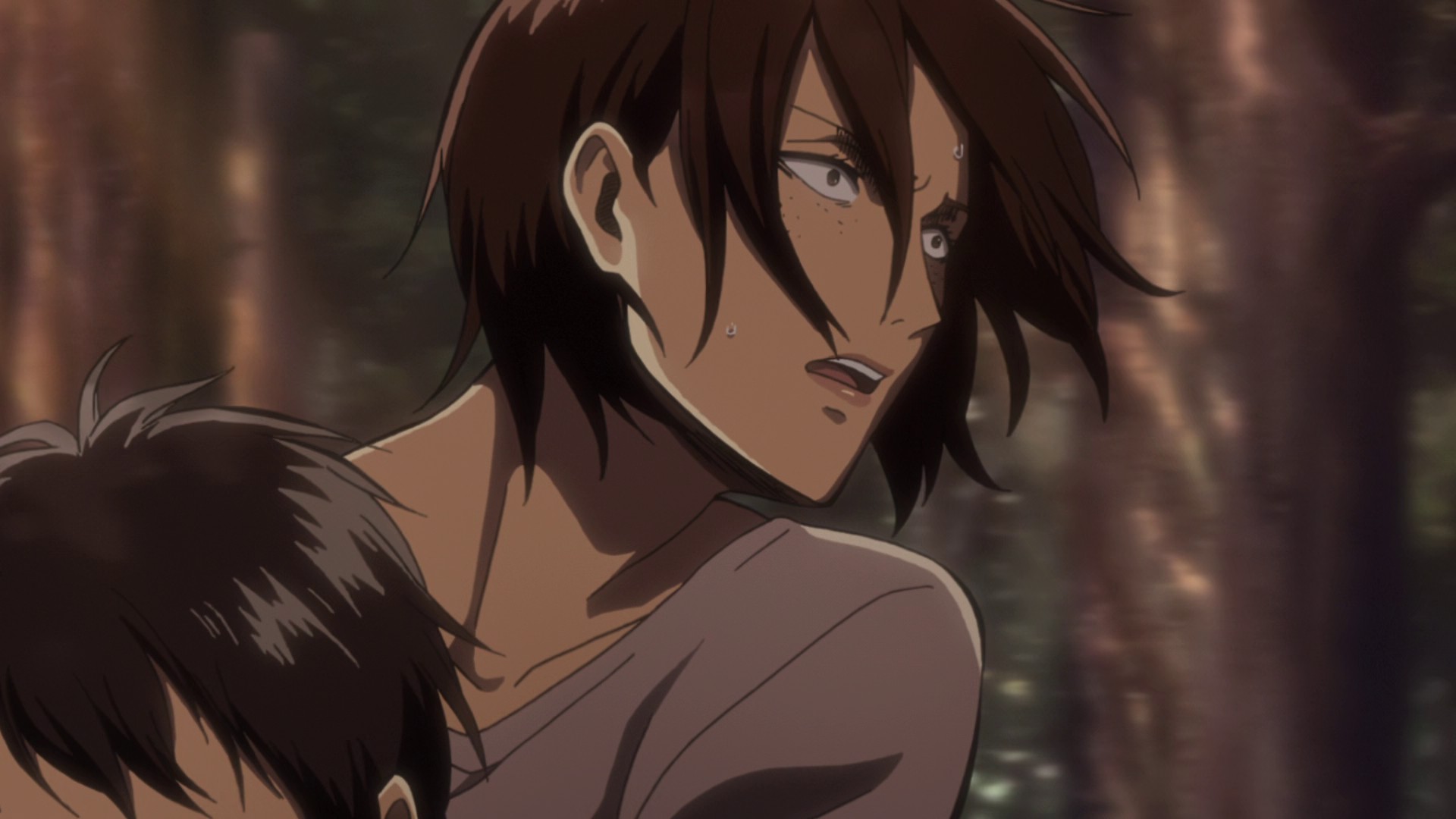 Yuugure no Tori, Attack on Titan Wiki