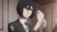 Mikasa reveals her family's symbol