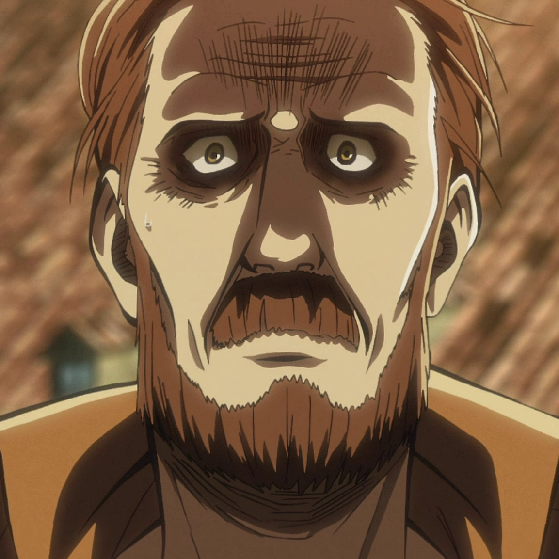 Rico Brzenska, Attack on Titan Wiki