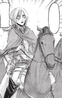 Historia arrives with Jean's horse