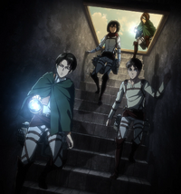 Basement, Attack on Titan Wiki