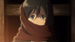 Mikasa Schal