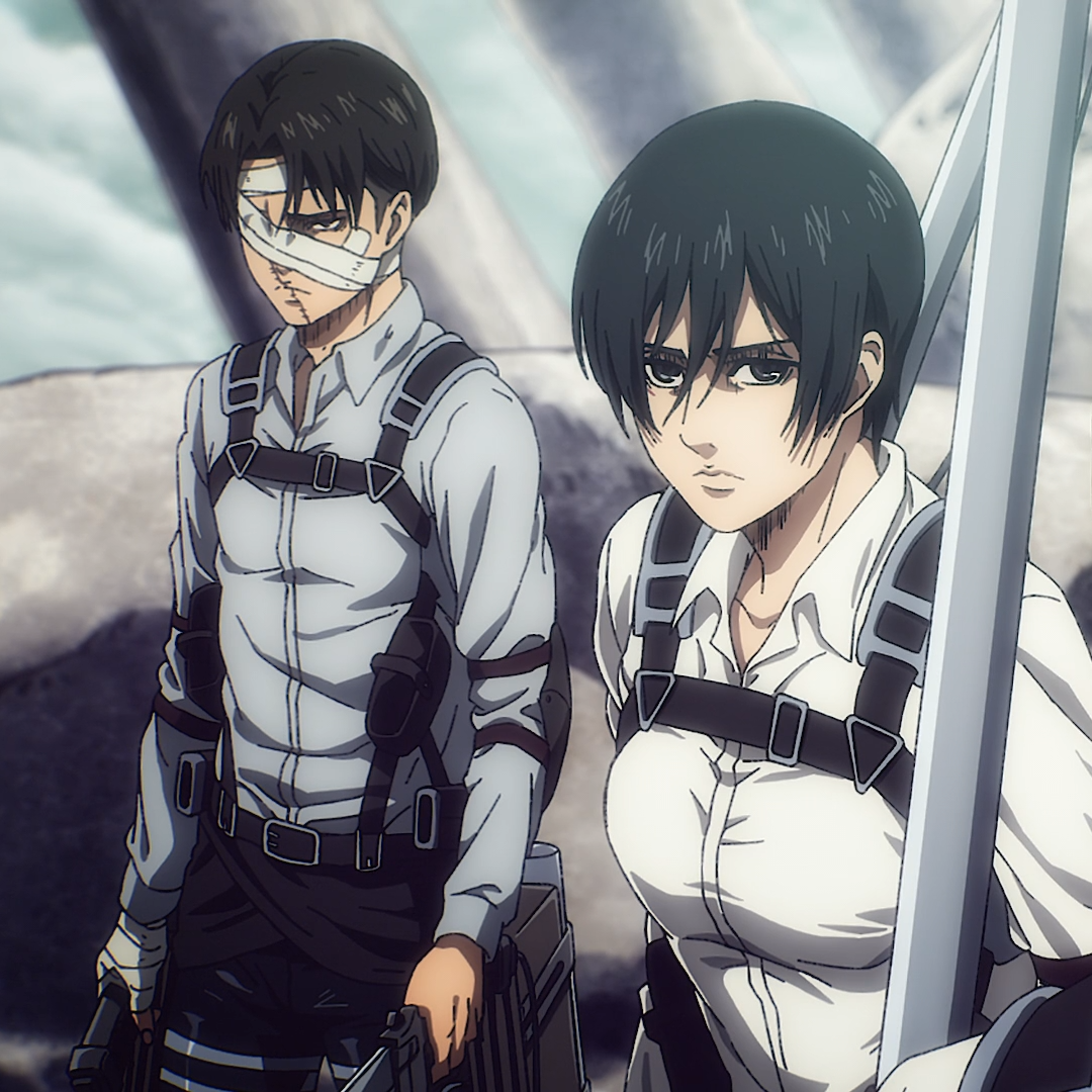 Attack on Titan: The Anime Guide, Attack on Titan Wiki