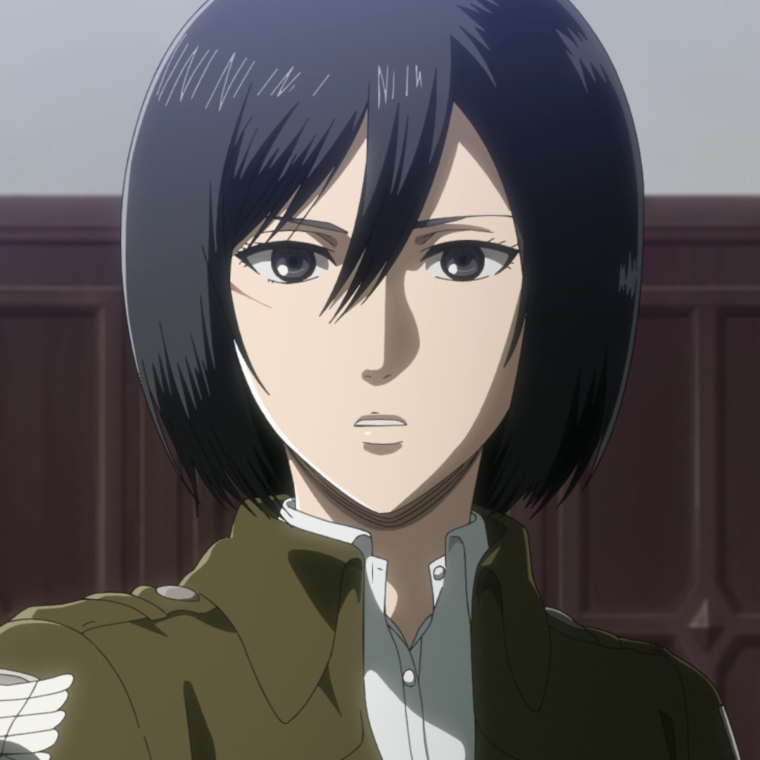 Featured image of post Mikasa S4 Full Body Png