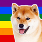 LGBTDog