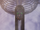 Eren Jaeger (Anime) character image (Founding Titan).png