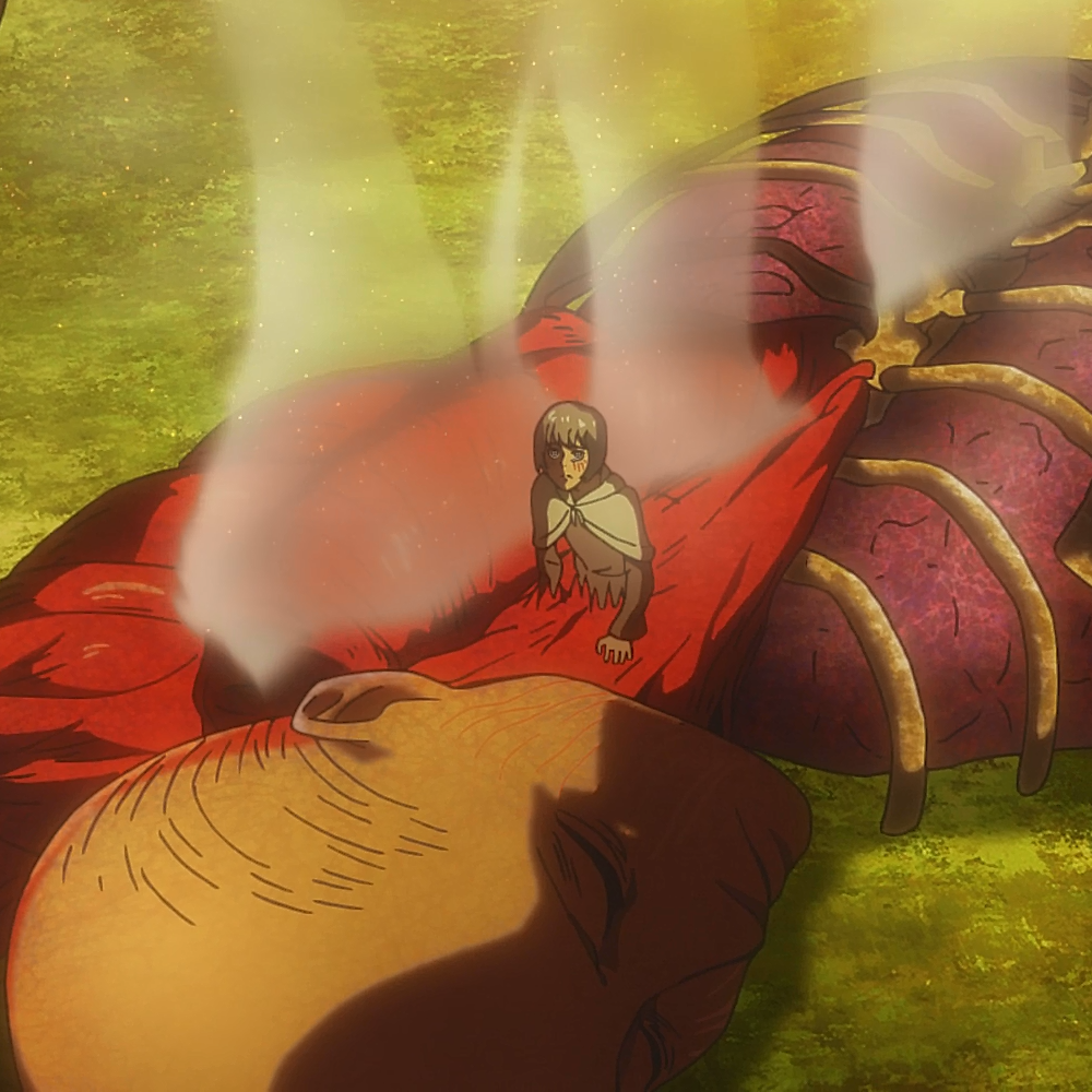 Featured image of post Ymir Fritz Founding Titan Anime / (founder ymir&#039;s full backstory) ymir&#039;s death.