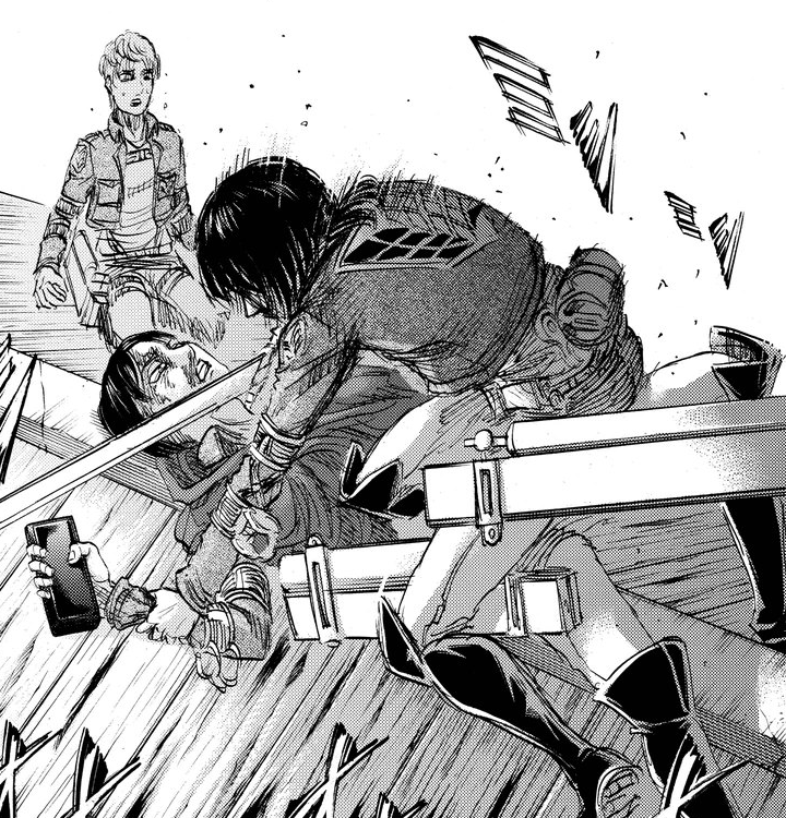 Mikasa Ackerman Attack On Titan Wiki Fandom