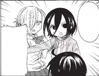 Mikasa tries to block Annie